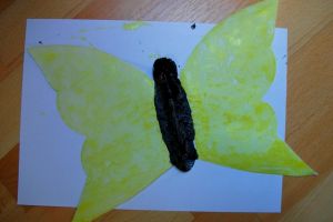 motyl