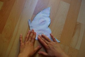 motyl