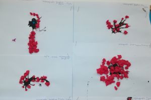 kleksografia jarzebina