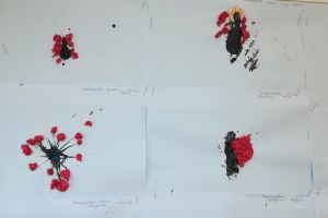 kleksografia jarzebina