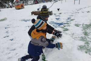 śnieg