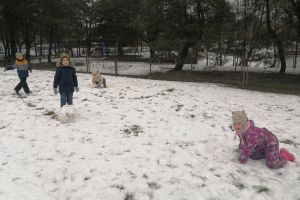 śnieg