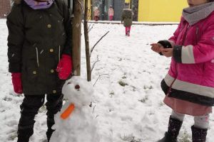 śnieg