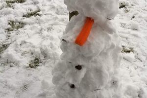 śnieg