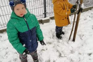 śnieg