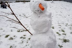 śnieg