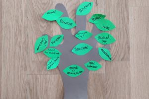 Projekt edukacyjny "Emocja"