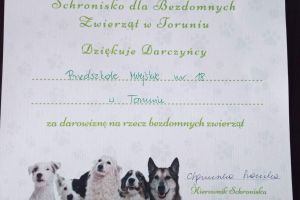 dla schroniska
