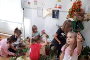 Kącik przyrody