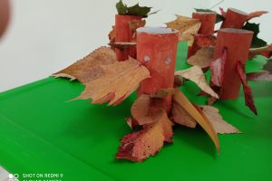 dzień drzewa
