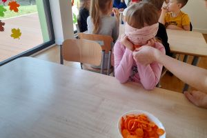 Światowy Dzień "Białej Laski"
