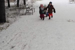 zima
