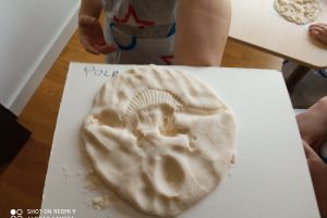 dinozaury