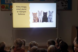 Dzień kota