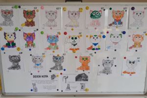 kot 1-Dzień Kota