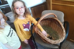 IMG_20220325_104236