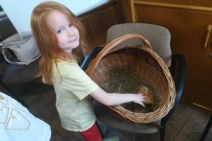 IMG_20220325_104255