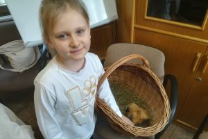 IMG_20220325_104303