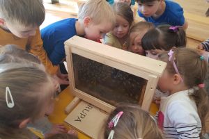 warsztaty pszczelarskie