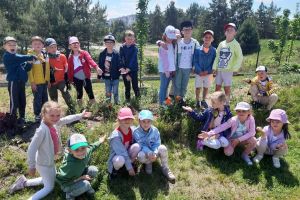 Projekt edukacyjny