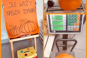 dzień dyni
