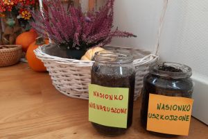 Nasionko