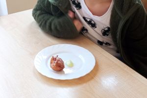 pączki