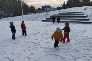 IMG_20240118_123105