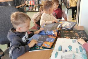 biblioteka