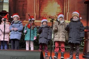 koncert