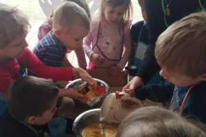 projekt Witaminki