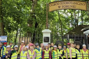 zoo 1