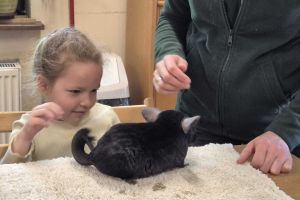 zoo 1 11