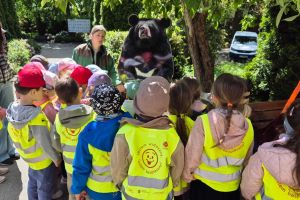 zoo IMG-20250523-WA0138