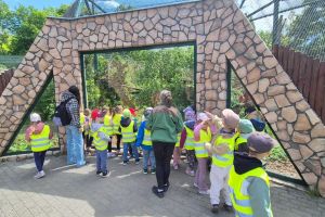 zoo IMG-20250523-WA0142