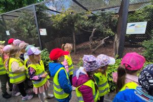 zoo IMG-20250523-WA0144