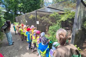 zoo IMG-20250523-WA0147