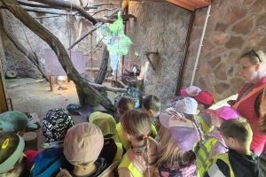 zoo IMG-20250523-WA0153
