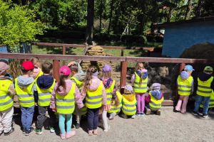 zoo IMG-20250523-WA0157
