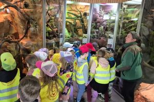 zoo IMG-20250523-WA0160