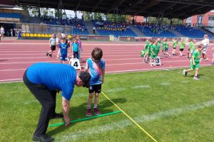olimpiada 13