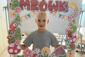 mrówki