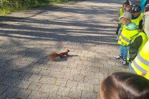 spotkanie z wiewiórką