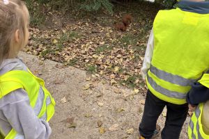 Pierwszy Dzień Jesieni