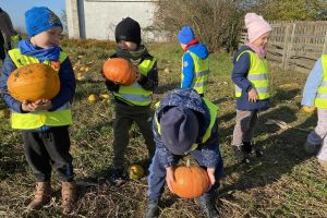 babaludaIMG-20251111-WA0047