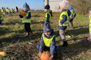 babaludaIMG-20251111-WA0045