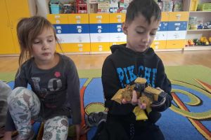 zajęcia edukacyjne 2