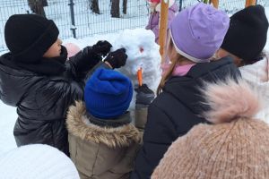 Zabawy na śniegu w listopadzie