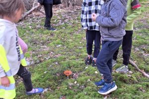 Pierwsze wyjście do lasu