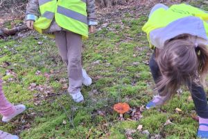 Pierwsze wyjście do lasu